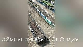 Строим грядки из ящиков, новый объект!!! ( Земляничная Исландия)