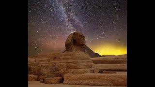 Cosmic Education | Montessori Activities @home for 6-9 year olds | Biology