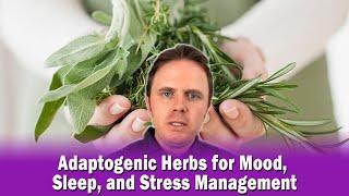 Adaptogenic Herbs for Mood, Sleep, and Stress Management