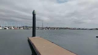 Constitution Dock Hobart Tasmania Australia