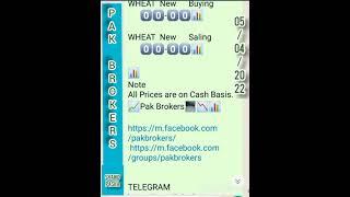 today's Wheat Market in karachi PAK Brokers shahid pasha wheat's rates 05.04.2022   +923122788929