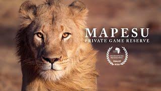 Safari Journals: Mapesu Private Game Reserve