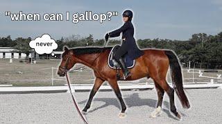 Dressage riding lesson be like.. |  Funny Horse Videos