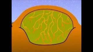 NEURO GREEN - LANDFILL SITE PART 1