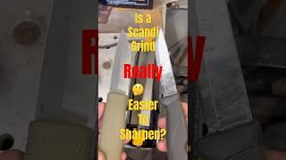  #shorts #knifestuffwedo #mythbusting #fixedblade #foldingknife #sharpening