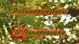 И.Понаровская-Рябиновые бусы- караоке.