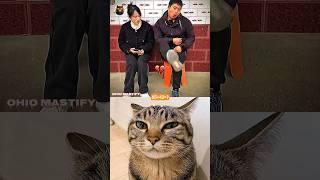 Funny movement  #cat #funny #tiktok #memes