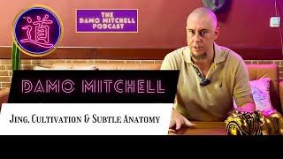 DMP #18 - Damo Mitchell - Jing, Cultivation & Subtle Anatomy