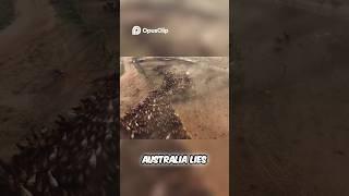  Anna Creek Station – The Worlds Largest Cattle Ranch – Australia's  Grazing Giant