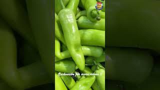 Bountiful Harvest: Fresh Greenish Capsicum #harvest #capsicum #greenish #vegitables #shorts