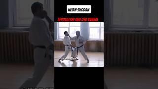 Heian Shodan – Application and Oyo Bunkai. #karate #mma #martialarts