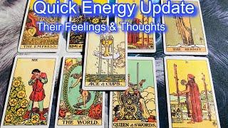 Quick Energy Update  Their Feelings & Thoughts  Timeless Tarot  Hindi-Urdu 