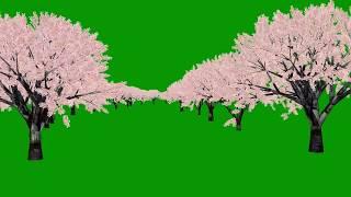 Green Screen Trees Effects Free