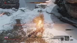 Sekiro: Sabimaru Actually Works On Snake Eyes Shirafuji!