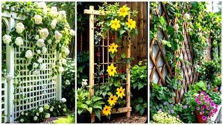 Climbing Plants for Fences: Beautify Your Outdoor Space!