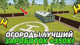 ОГОРОДЫ ЭТО ЛУЧШИЙ ЗАРАБОТОК!? ЧТО ЛУЧШЕ САЖАТЬ?! RADMIR RP / HASSLE ONLINE