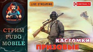  ПРИЗОВЫЕ КАСТОМКИ ОТ MAGNA GLORIA В ПАБГ МОБАЙЛ  СТРИМ PUBG MOBILE 