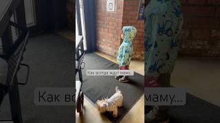 #shorts #дети #малыш #собака #ребенок #shortvideo