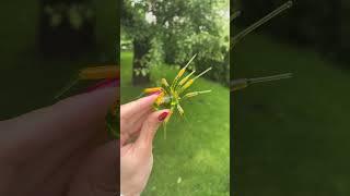 Jungle yellow-green spider! #art #fy #artist #diy #craft #foryou #fyp #gift #spiderman #garden
