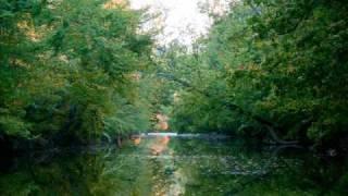 Adult Swim Bump - Drakes Creek