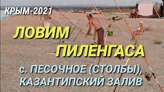 ЛОВИМ ПИЛЕНГАСА НА КАЗАНТИПСКОМ ЗАЛИВЕ, С. ПЕСОЧНОЕ (У "СТОЛБОВ") , КРЫМ-2021. CRIMEA TODAY, FISHING