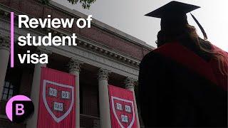 US Embassies Ordered to Stop Booking Student Visa Interviews