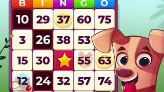 Bingo my Home Video 11:M