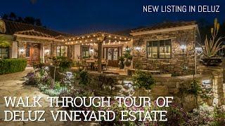 Walk Through Tour of New DeLuz Property for Sale - Vineyard Estate on 9 Acres