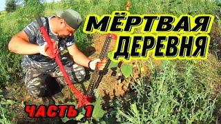 Покинутая деревня, МЕТАЛЛОКОП. #hunting #поисксметаллоискателем #заработок #metaldetecting #коп