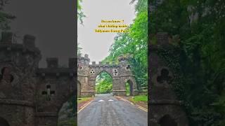 Tollymore Forest Park | County Down | Ulster | Northern Ireland | UK #neilyaatri #nature #travel