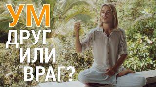 Как Использовать Ум по Назначению? Сделай Ум Своим Другом!