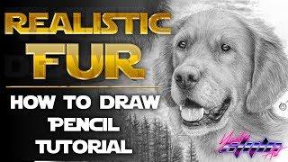 How to Draw REALISTIC FUR