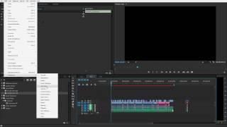 Premiere Pro - Autosave Interval