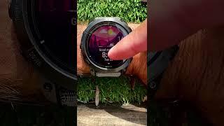 When the Algorithm Says No | Garmin Epix Pro Workout Suggestion