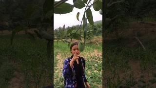 खाईस ? Khaes | Nepali comedy vines | @Prakashanjuofficial
