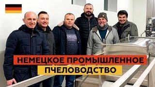 Немецкое промышленное пчеловодство — экскурсия по производству