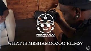 Mrshamoozoo Films - Mixed Media Portfolio Reel 2022