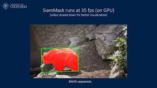 Fast Online Object Tracking and Segmentation: A Unifying Approach
