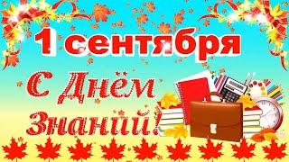 С Днем Знаний! Красивый футаж с 1 сентября