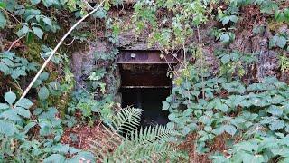 Vergessene Orte Ostwall UNTERWEGS IM WALD DER PANZERWERKE Lost Place Verlassene Orte Doku