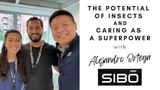 Finding inspiration with Alejandro Ortega, Founder of Sibö
