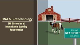 DNA Discoveries at Legacy Ranch Exploring Horse Genetics