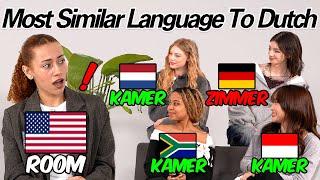 American Was Shocked by Word Differences Between 5 Countries!! Which Language is Closest to Dutch?