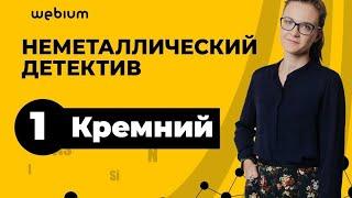 День 1. Кремний. Неметаллический детектив | ЕГЭ Химия 2020 | Таисия Фламель