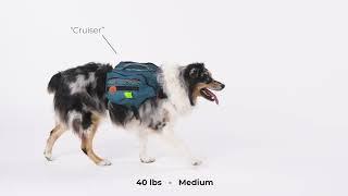 Wilderdog Dog Backpack