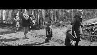 The early years: 1920-1970 | MCC