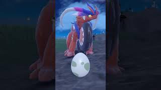 Welcome Back Rowlet But Wait...