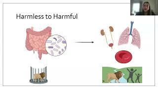 Killer Klebsiella