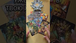 ЭТОГО ВЫ ТОЧНО НЕ ЖДЕТЕ Таро расклад гадание онлайн  #таро #tarot #онлайгадание #таролог