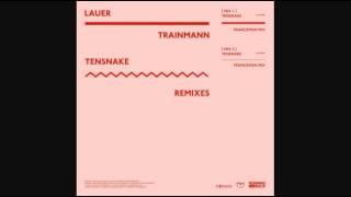 Lauer - Trainmann (Tensnake Franceman Remix)